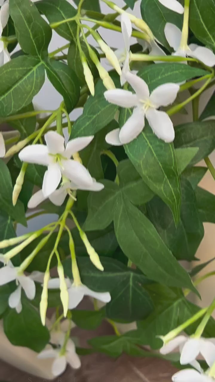 تسالي الجوهرة