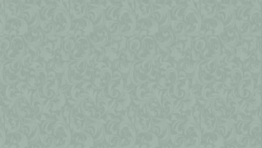 صفاية/منظم معالق لارا أكريليك